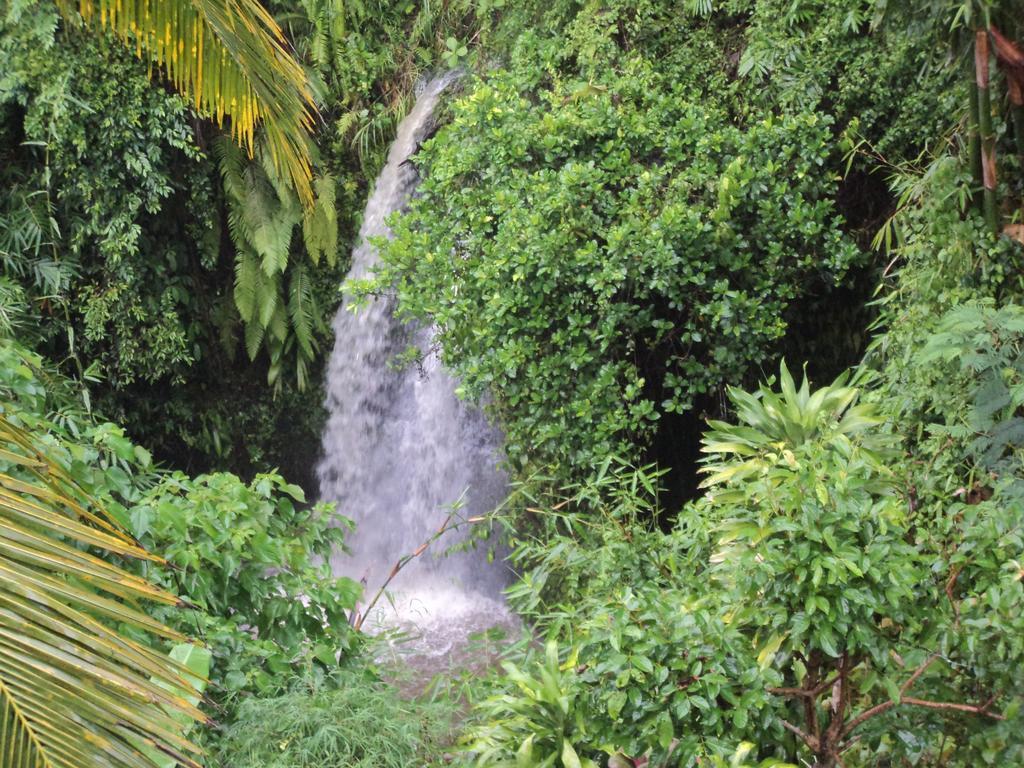 White Lotus Oasis Hotel Ubud  Ruang foto