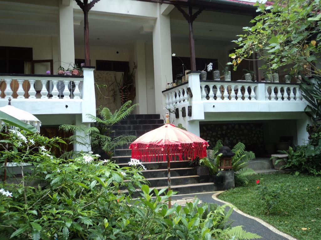 White Lotus Oasis Hotel Ubud  Bagian luar foto