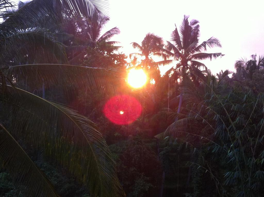 White Lotus Oasis Hotel Ubud  Bagian luar foto