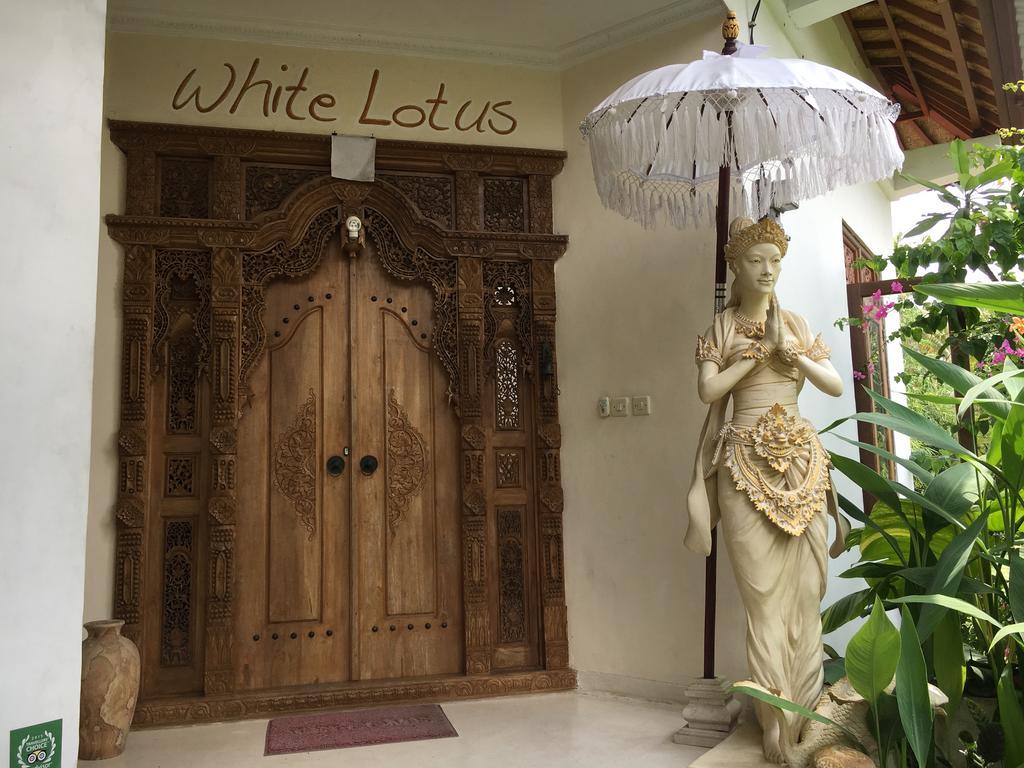 White Lotus Oasis Hotel Ubud  Bagian luar foto